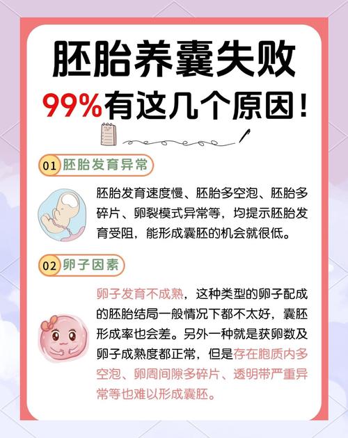 胚胎培育失败