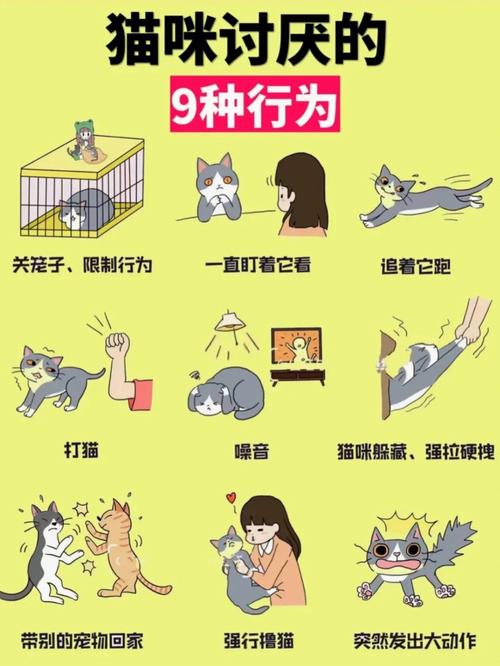 行为