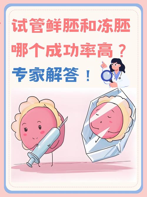 深入探讨试管婴儿的多种先进技术及其原理