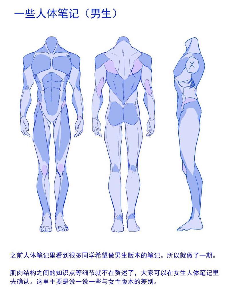  男性身体