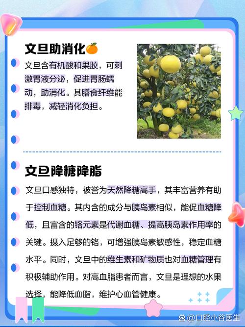 试管婴儿饮食指南：文旦适宜性与营养分析