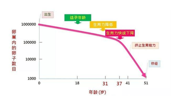 试管婴儿成功率与最佳生产年龄的关系探讨