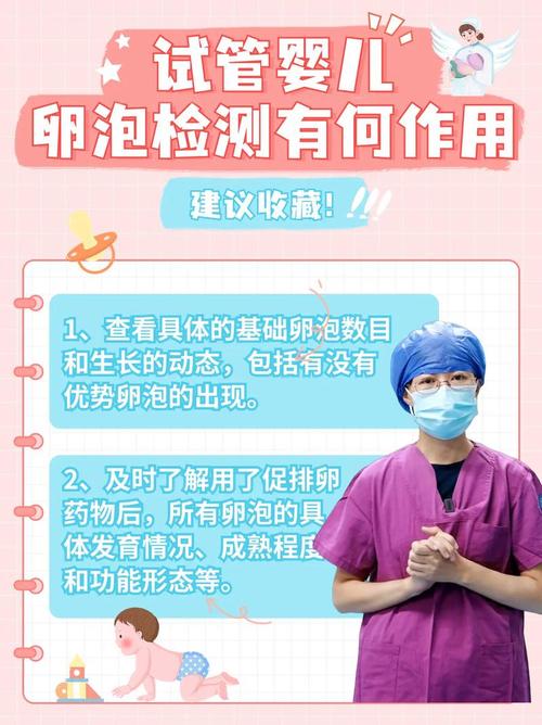 无精试管婴儿成功概率分析与影响因素探讨