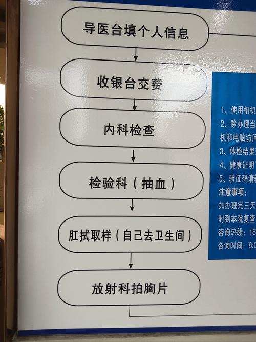 身体检查步骤