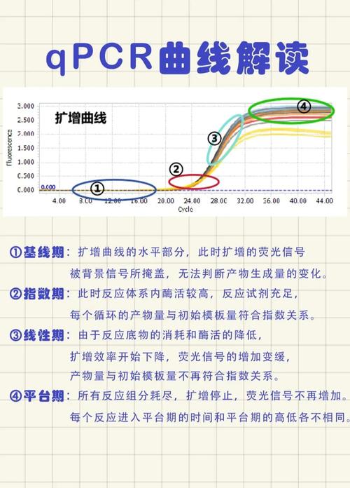 成功判定