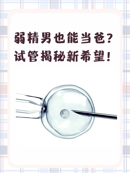 男性无女性试管婴儿