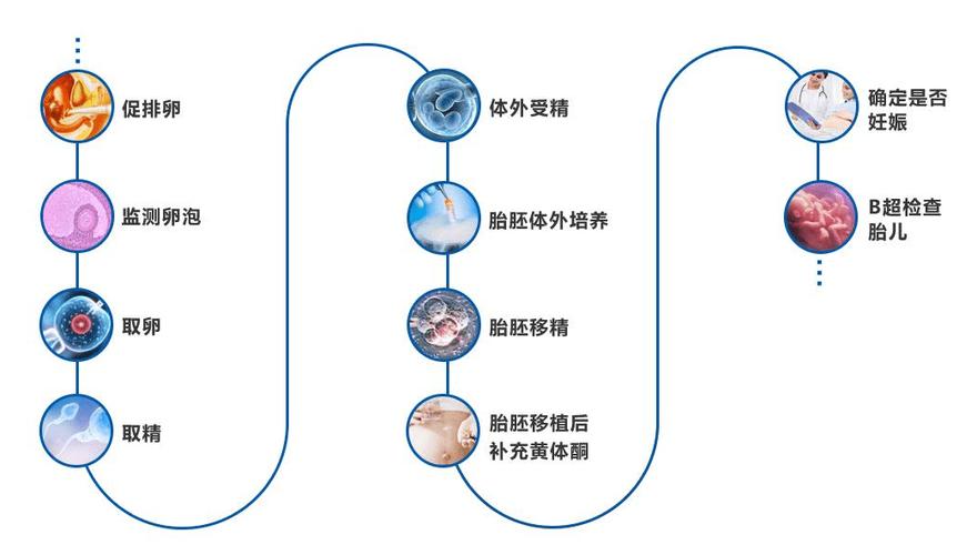  泰国试管优势