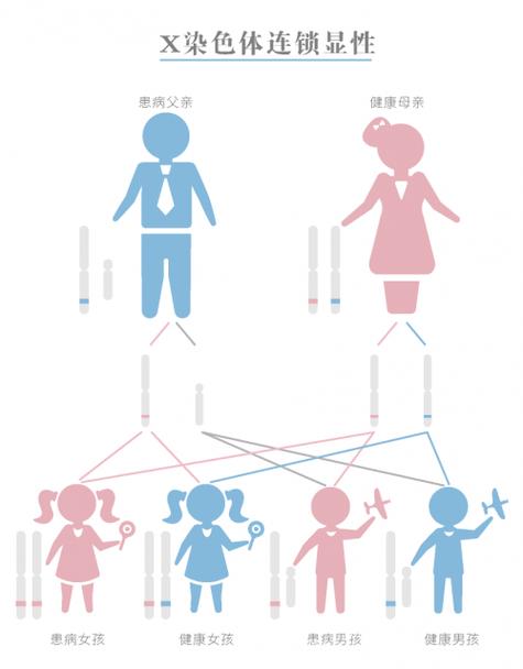 色素遗传