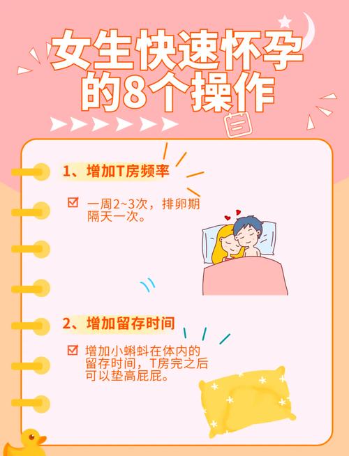 体内受孕流程
