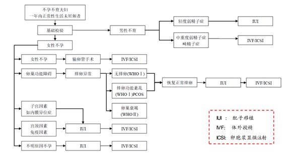 试管婴儿技术在中国的引进与发展历程探究