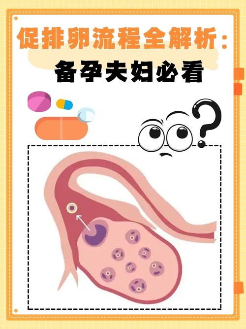 促排卵阶段