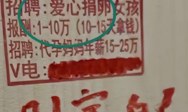 卵子捐赠补偿