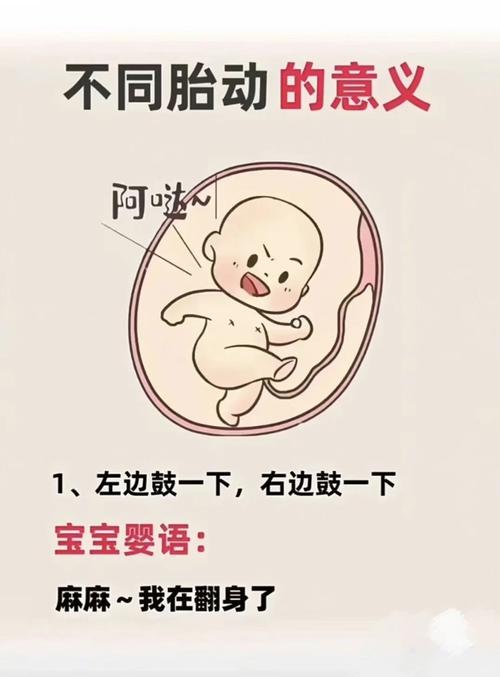  胎动