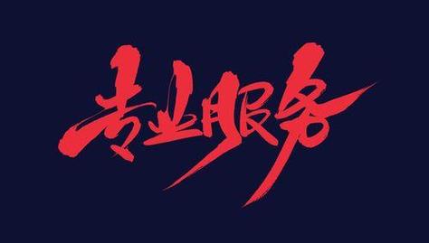  专业服务