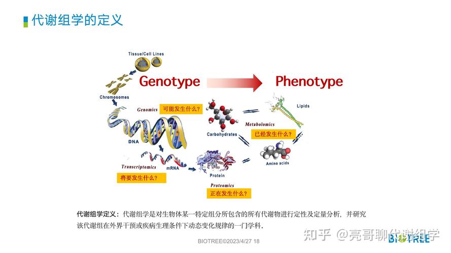代谢组学技术