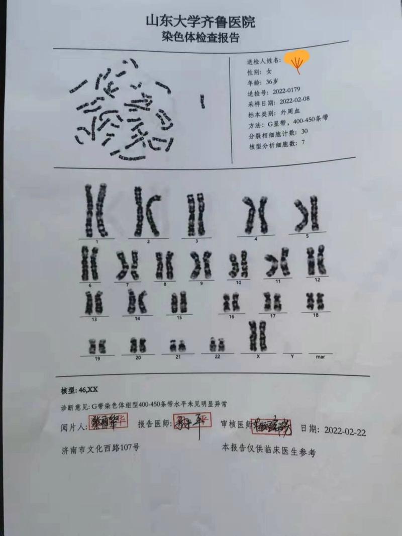 济南试管婴儿案件最新进展与调查结果分析