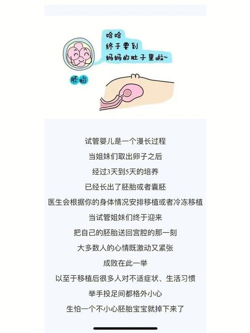 试管婴儿移植后内痔的注意事项与解决方案