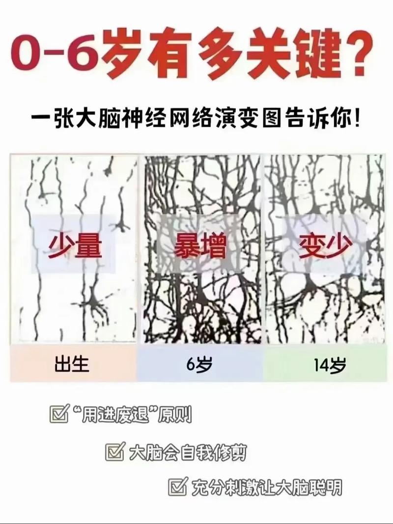 神经系统发育问题