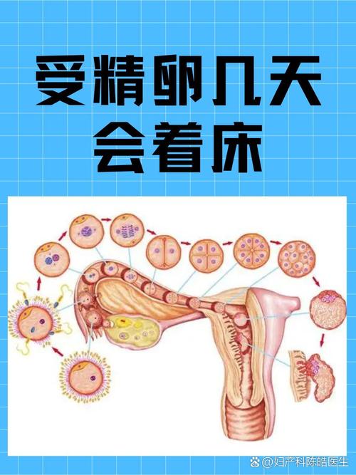 受精异常