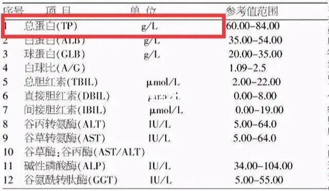 血清蛋白水平