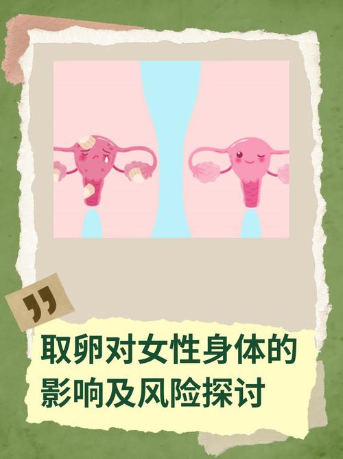 取卵影响