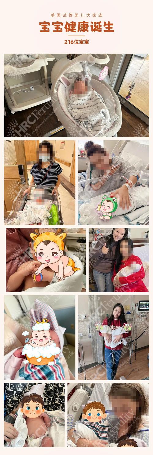 个性化试管婴儿