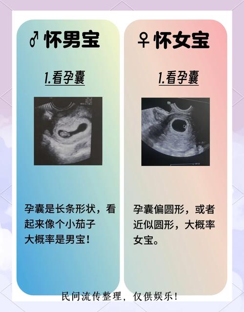 多胎性别选择