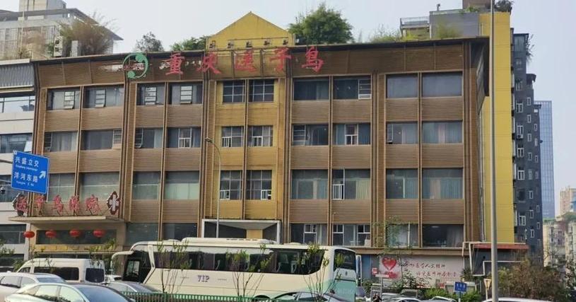 重庆送子鸟