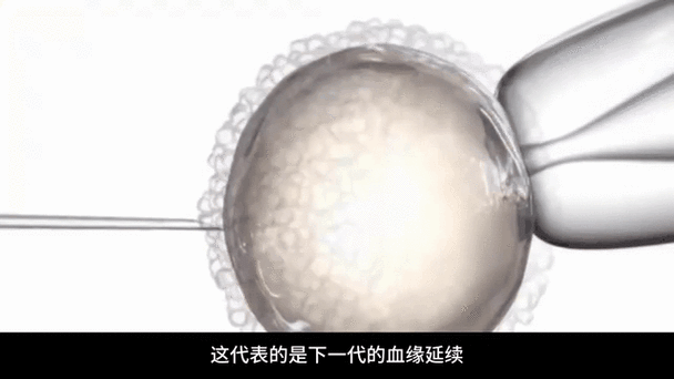 试管婴儿移植过程有多痛？真实感受揭秘