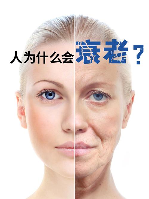  人类衰老
