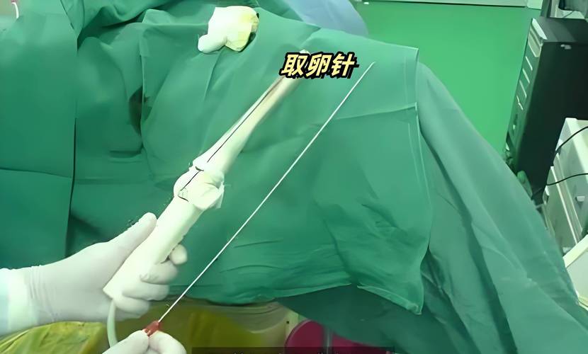 着床针