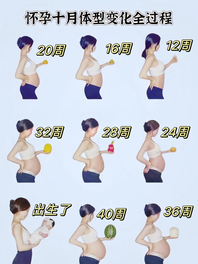  准妈妈变化