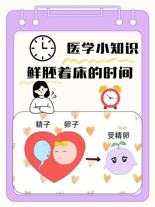 试管婴儿官宣没有着床原因及应对措施解析