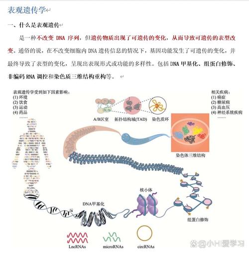  表观遗传学改变
