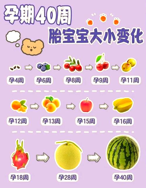  胚胎命运