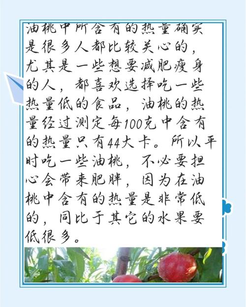 试管婴儿饮食注意事项：油桃适合食用吗？
