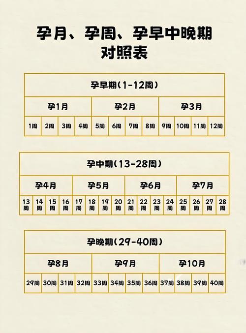 累计妊娠率