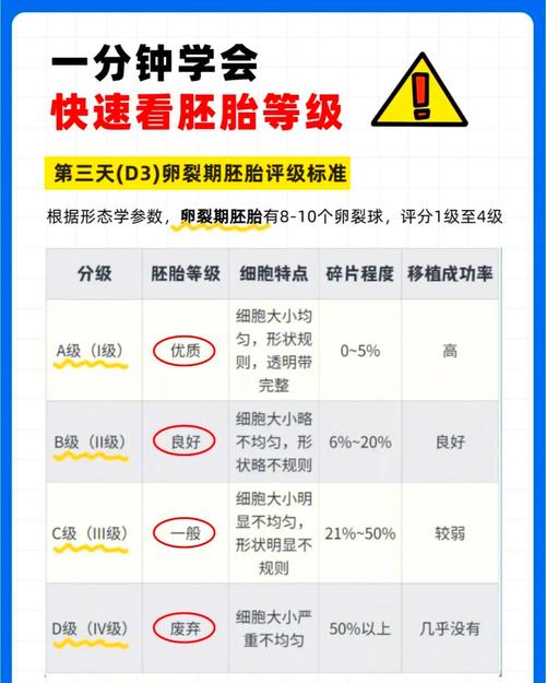 试管婴儿囊胚费用详解：是贵还是值得投资？