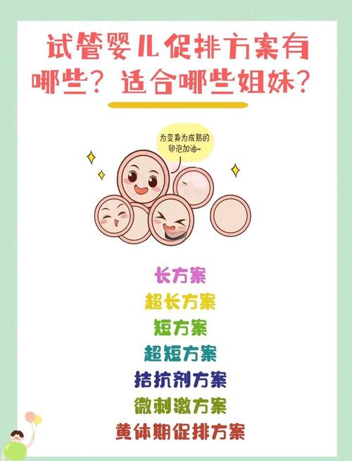 胚胎移植
描述: 本文详细介绍了试管婴儿从促排到移植的各个环节，包括促排卵药物使用、取卵数量、体外受精方式、胚胎培养情况、移植注意事项等，为有相关需求的家庭提供全面了解的参考。