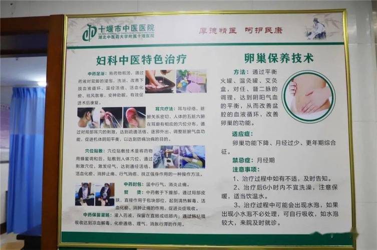 中医妇科视角下的试管婴儿技术探讨与应用