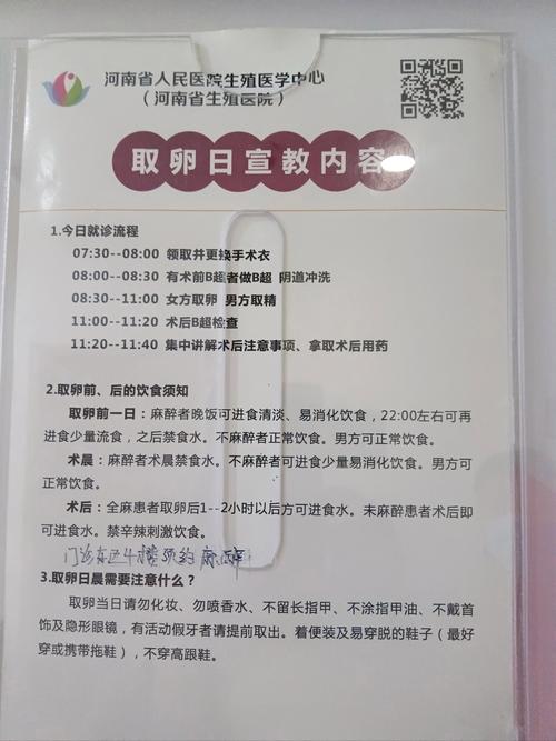 他人卵子移植