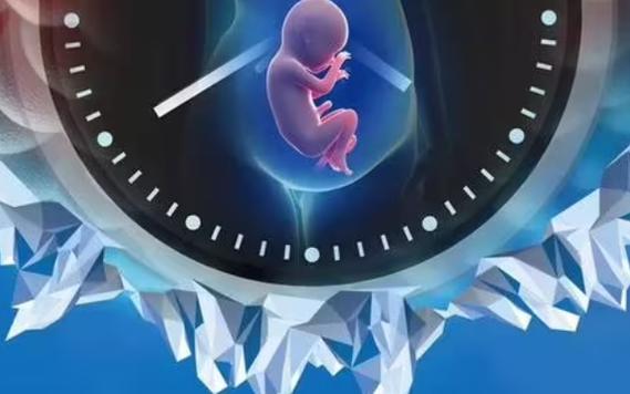 试管婴儿是否真的增加了患癌风险？