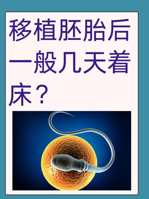 一级胚胎移植