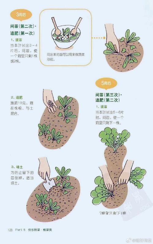 种植过程