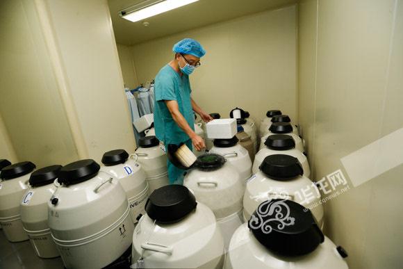 探秘南院试管婴儿费用：是否物有所值？