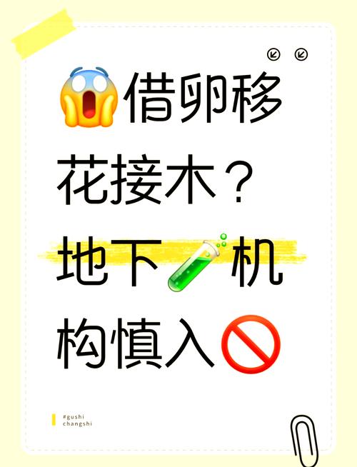  借卵生育