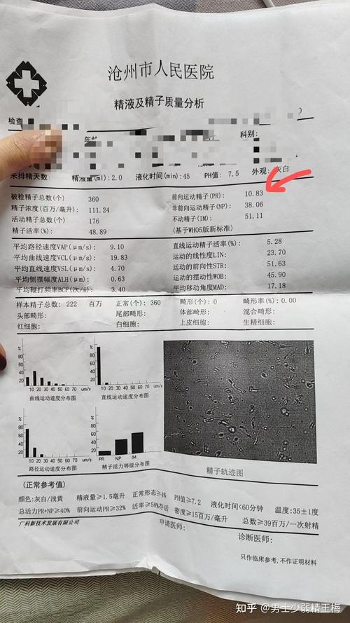 男方精子质量差