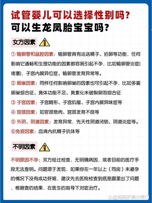 试管婴儿非传统选项