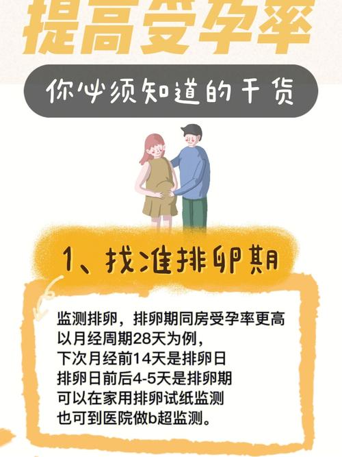 助孕成功率