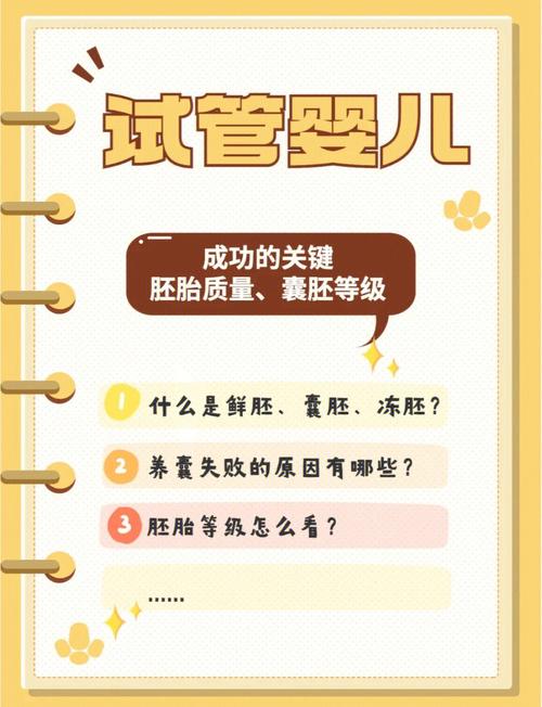 全面解读：初次试管婴儿成功率的影响因素